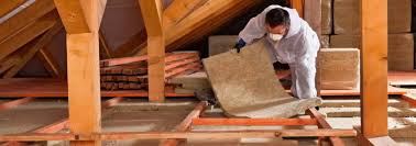 Best Commercial Insulation Services  in Washoe Valley, NV