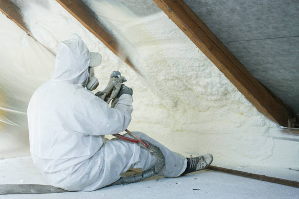 Best Basement Insulation  in Washoe Valley, NV